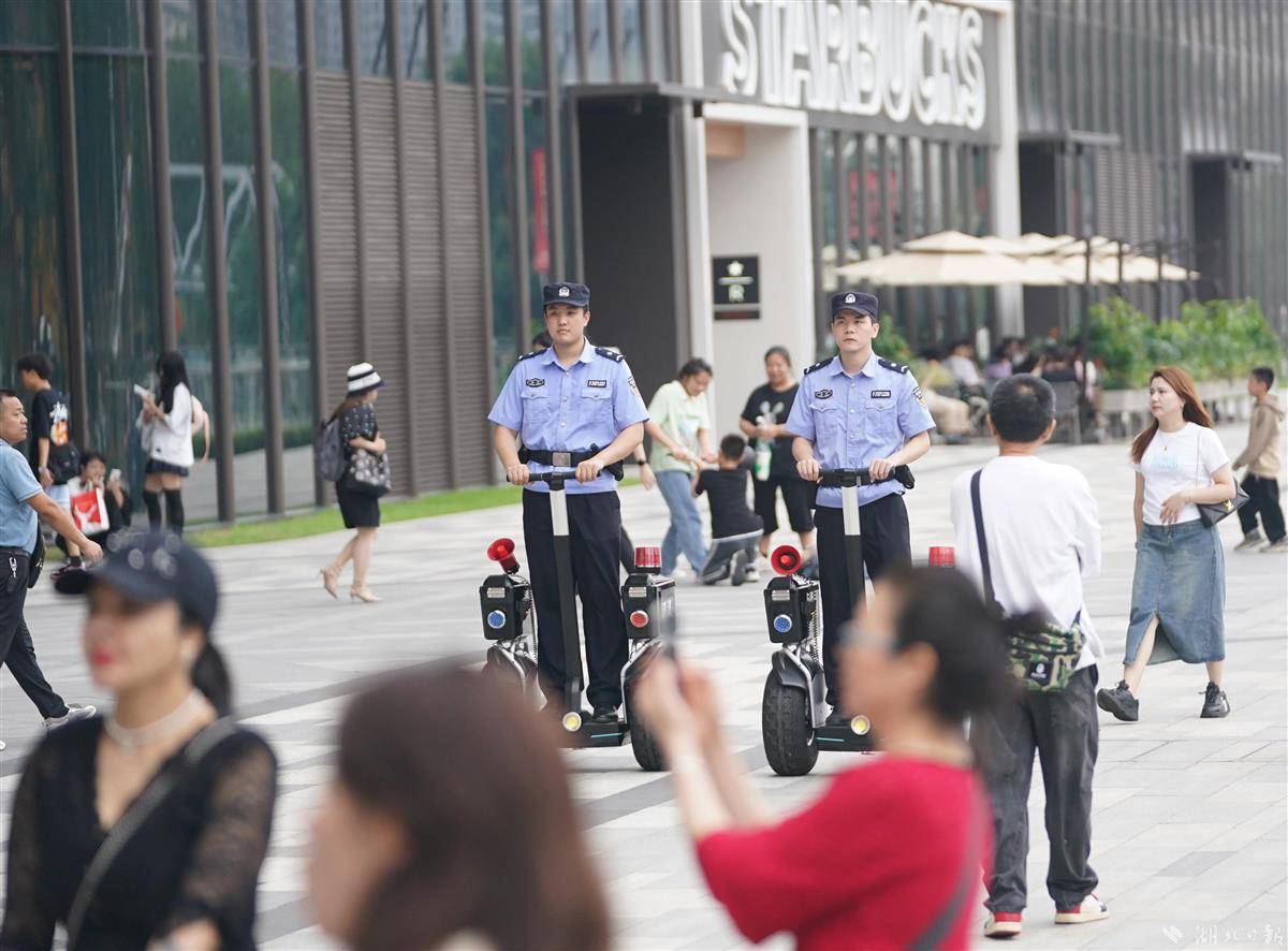 ag金龙珠
